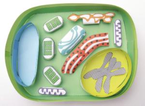 Model kit plant cell