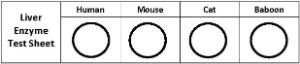 Science Take-Out® Use Of Animals For Medical Testing