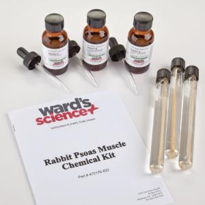 Ward's® ATP Muscle Kit