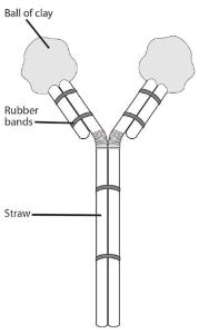 Science Take-Out® Pathogens, Antibodies, And Vaccines