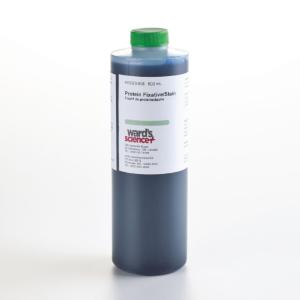 Ward's® Protein Fixative Stain