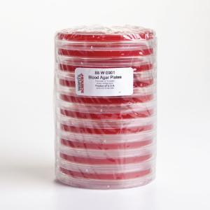 Prepared Blood Agar Media