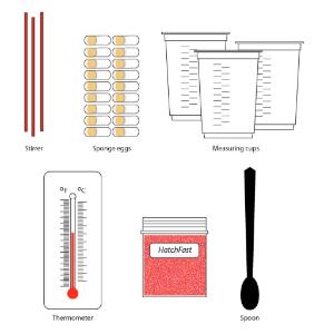 Science Take-Out® Factors That Affect Sponge Egg Hatching