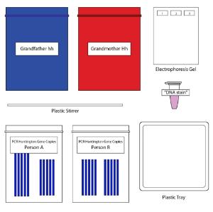 Science Take-Out® Genetic Testing For Huntington's Disease