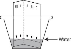 Science Take-Out® KiDNA pped!