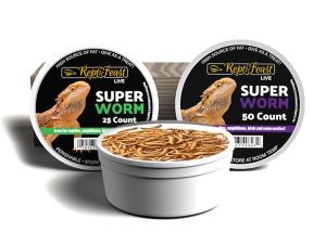 ReptiFeast superworms