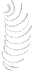 Eisco® Individual Bones, Axial