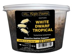 Reptifauna white dwarf isopods