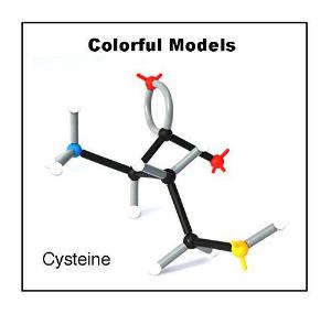 Organic Chemistry Molecular Model Set