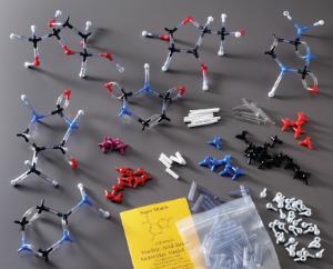 Nucleotides SuperModel Kit