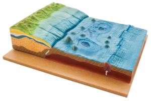 Ocean floor model