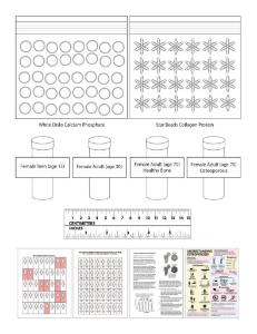 Science Take-Out® Brittle Bones: A Density Problem