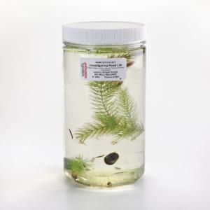 Ward's® Investigating Pond Life Lab Activity