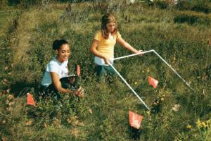 Meter Ecology Activity