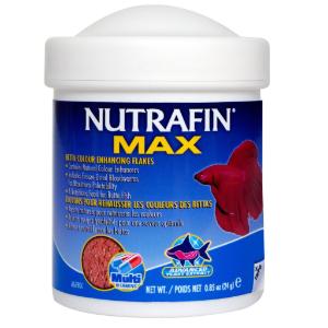 Nutrafin max betta color flakes