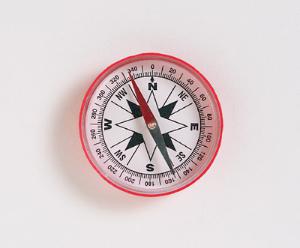 Large Compass