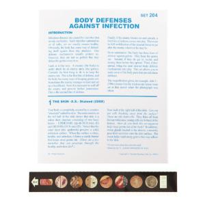 Body Defense Against Infection Microslide