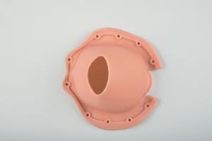 Repalcement Cervix And Vulva