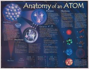 Anatomy of an Atom Poster