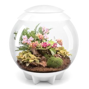 biOrb® Air Terrarium