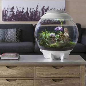 biOrb® Air Terrarium