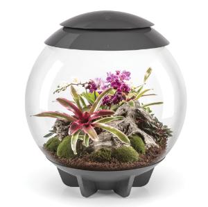 biOrb® Air Terrarium