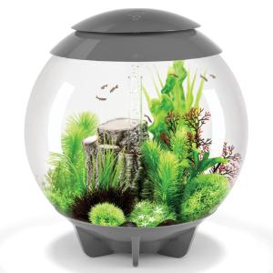 biOrb® HALO Aquaria