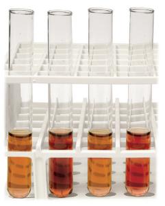 Forensic Enzymology Lab Activity