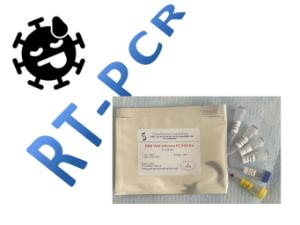 RT-PCR