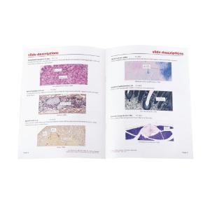 Introductory Nerve Tissues Slide Set