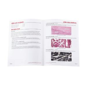 Introductory Muscle Tissues Slide Set