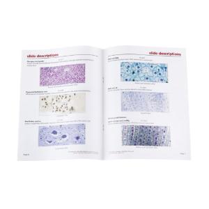 Cytology Survey Slide Set