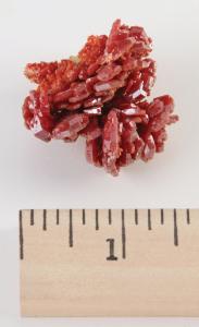 Vanadinite Crystal Group - Morocco, Northeast Geology LLC