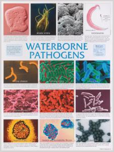 Biocam Pathogen Charts