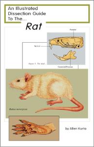 Illustrated Dissection Guides