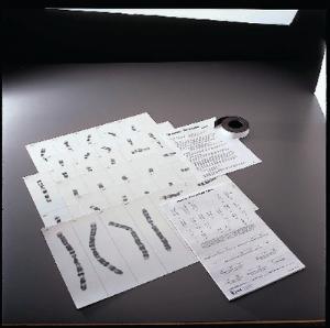 Magnetic Karyotyping Kit