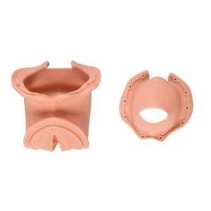 Replacement Birth Canal (1X) Cervix (1X)