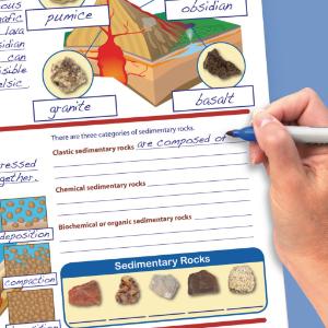 Reusable Laminated Guides