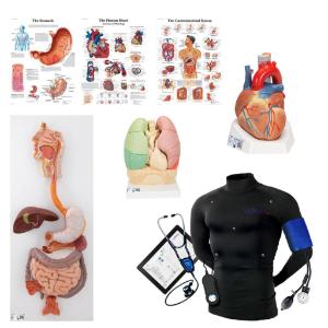 Advanced wearable auscultation lab