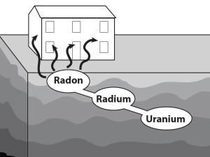 Science Take-Out® An Unhealthy Home