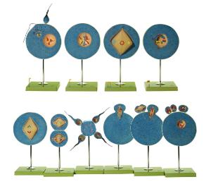 Somso® Animal Meiosis Model Set