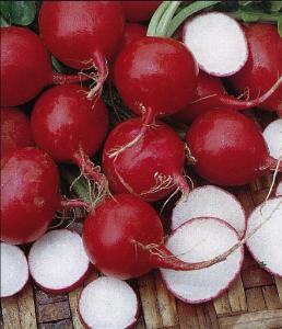 Red Radish Seeds