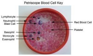 MaLa Scientific Petriscope Lab Activity