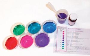 Red Cabbage pH Indicator Kit