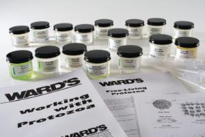 Ward's® Live College Protist Set