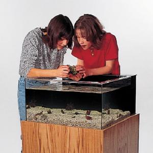 Ward's® Marine Touch Tank