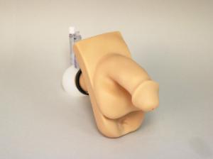 Willi catheterization model