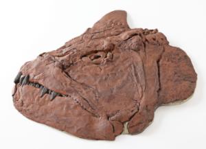 <i>Xiphactinus audax</i> (Cretaceous)