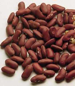 Kidney Bean Seeds