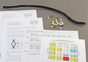 Science Take-Out® From DNA To Protein; Structure And Function